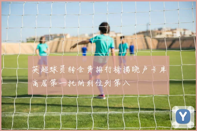 英超球员转会费排行榜揭晓卢卡库高居第一托纳利位列第八